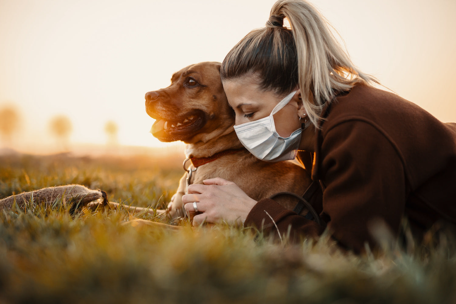 Why genetic health testing is critical if you bought your dog during the pandemic