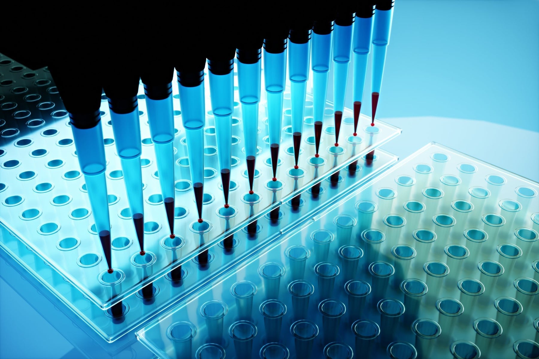 A breeder's guide to dog DNA test accuracy and quality - The Pet Genetics Lab
