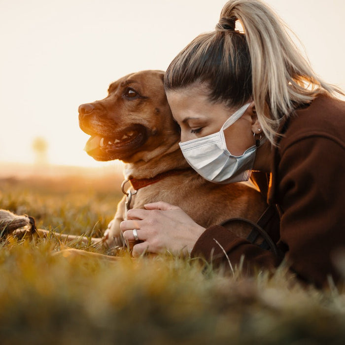 Why genetic health testing is critical if you bought your dog during the pandemic - The Pet Genetics Lab