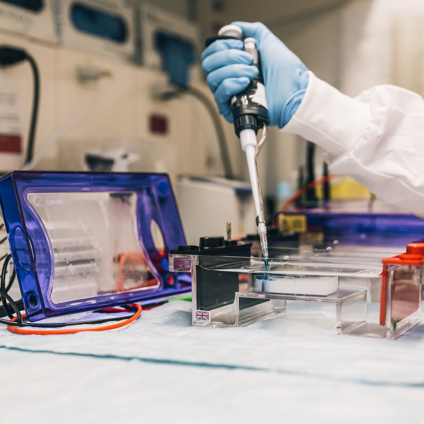 DNA Health Testing UK | The Pet Genetics Lab