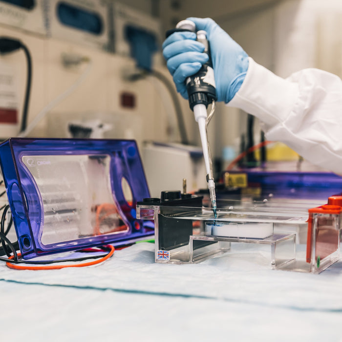 Why Vets Are Turning to Genetic Testing More Than Ever - The Pet Genetics Lab