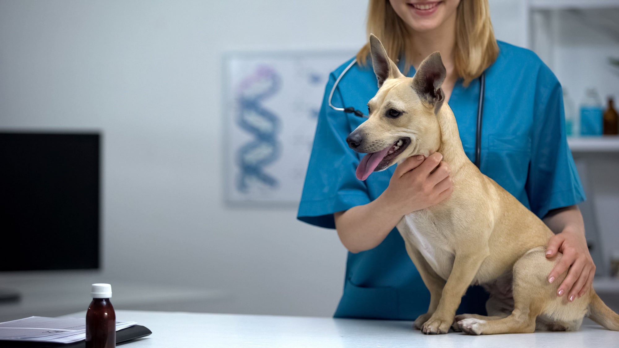 The Pet Genetics Lab - Pet Genetics Training Methods