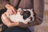 Foresight Health® Puppy Health Check