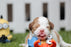 Foresight Health® Puppy Health Check