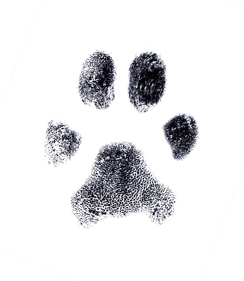 Canine DNA Profile (ISAG 2020 SNP panel) - The Pet Genetics Lab