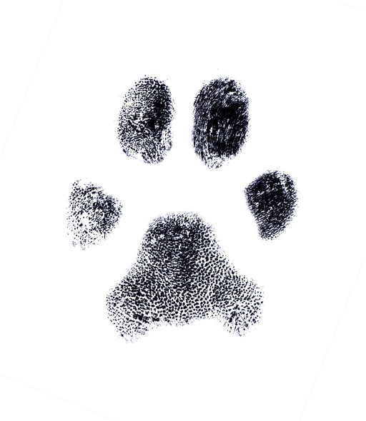 Canine DNA Profile (ISAG 2020 SNP panel) - The Pet Genetics Lab