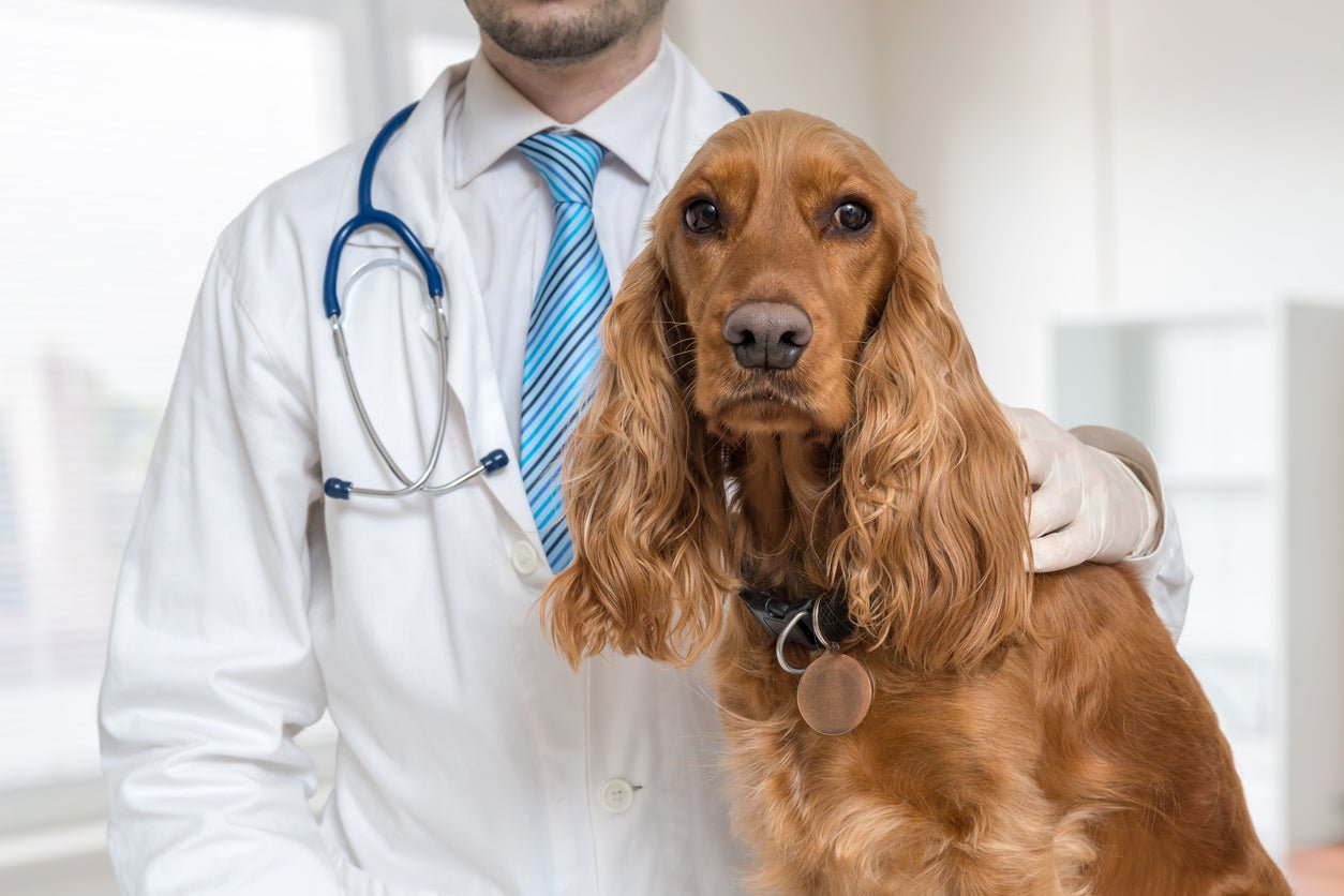 ComprehensiveCanine™ test - The Pet Genetics Lab