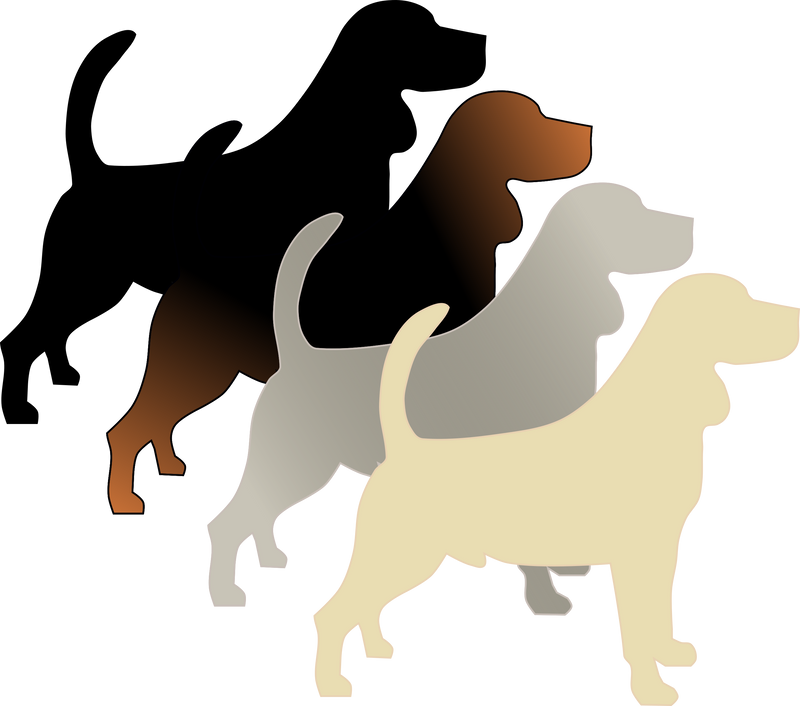 A-Locus (fawn, sable, black and tan, recessive black)