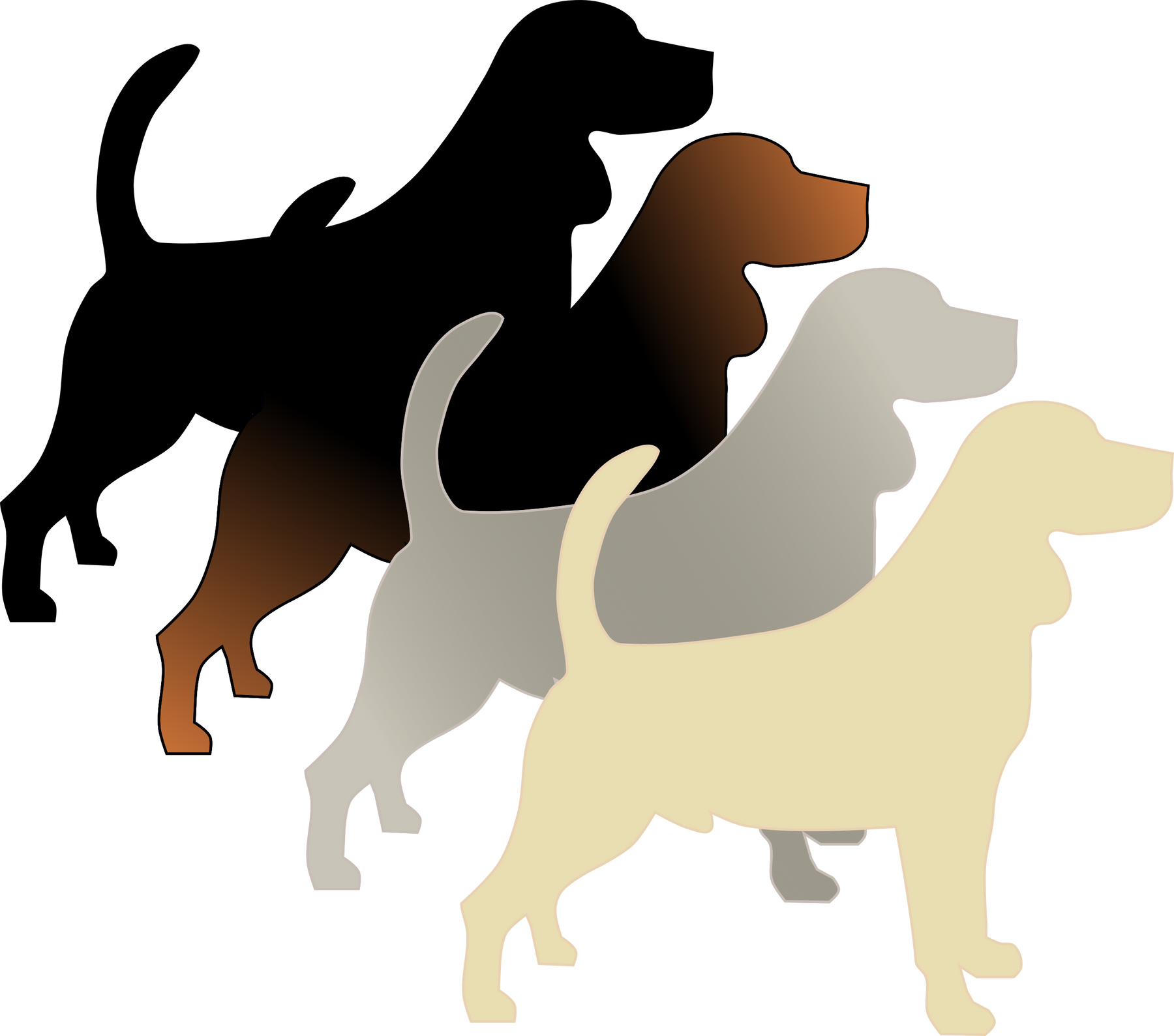 A-Locus (fawn, sable, black and tan, recessive black)