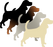 A-Locus (fawn, sable, black and tan, recessive black)