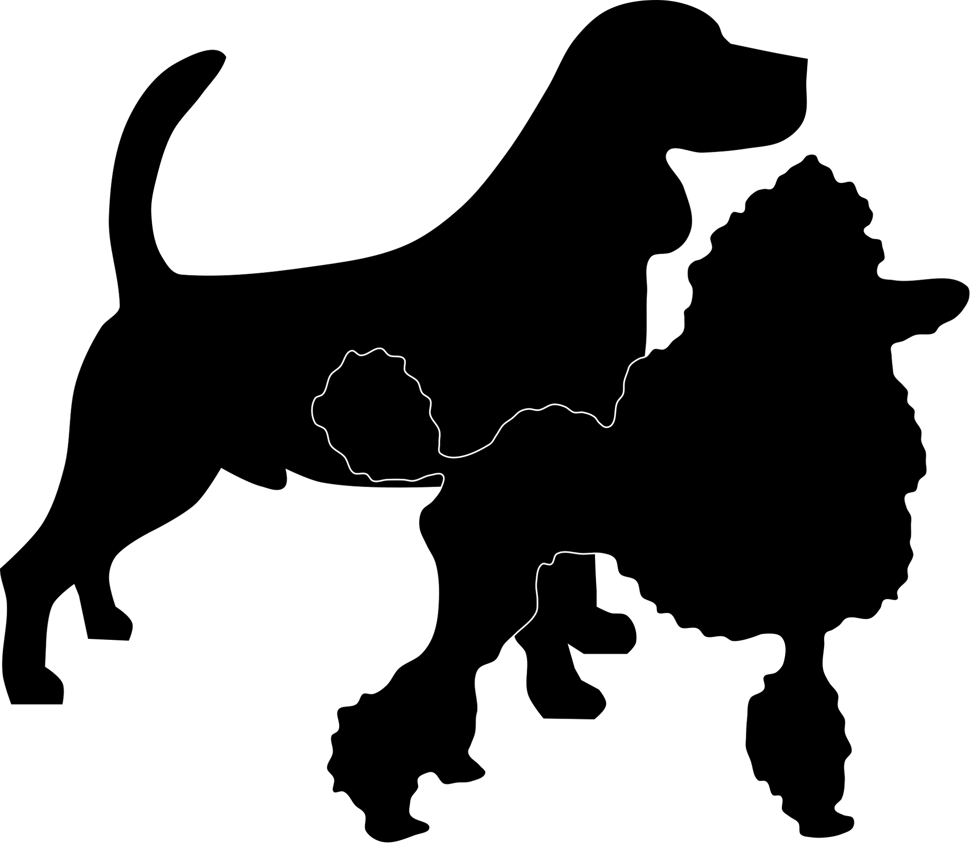 Dog coat colour testing — The Pet Lab