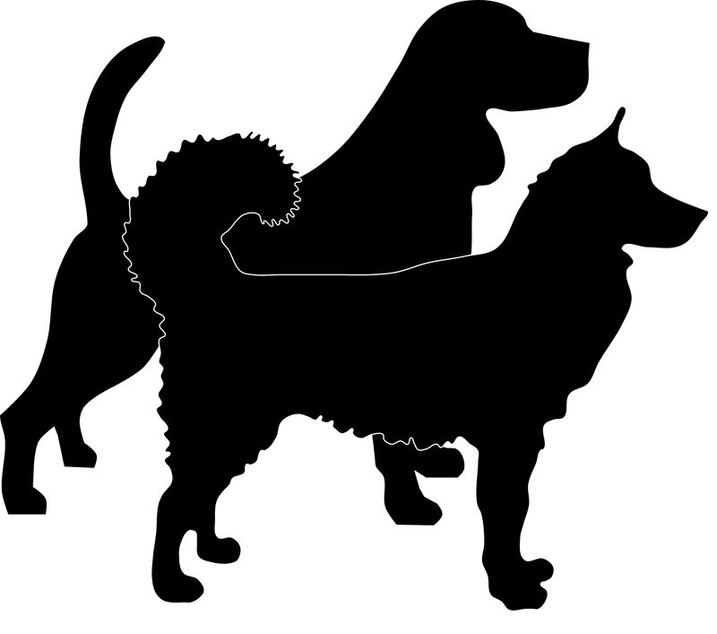 L-Locus (length)