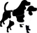 S-Locus (white spotting)