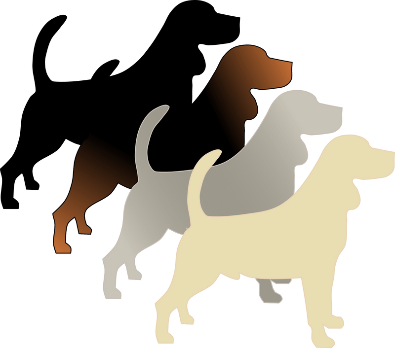 A - Locus (fawn, sable, black and tan, recessive black) - The Pet Genetics Lab