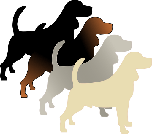 A - Locus (fawn, sable, black and tan, recessive black) - The Pet Genetics Lab