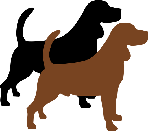 B - Locus (black/brown) - The Pet Genetics Lab