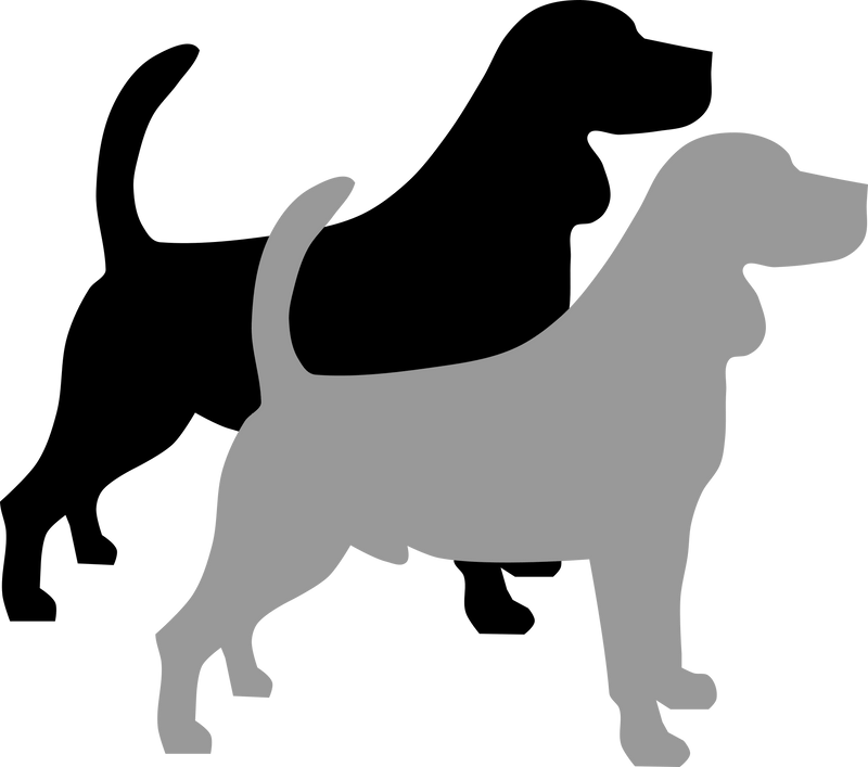 D - Locus (dilute) - The Pet Genetics Lab