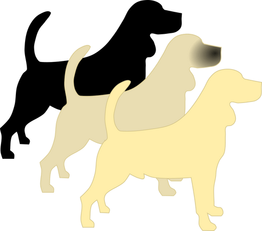 E - Locus (yellow) and Em - Locus (mask) - The Pet Genetics Lab