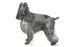 Foresight Health® Cocker Spaniel / Working Cocker Spaniel