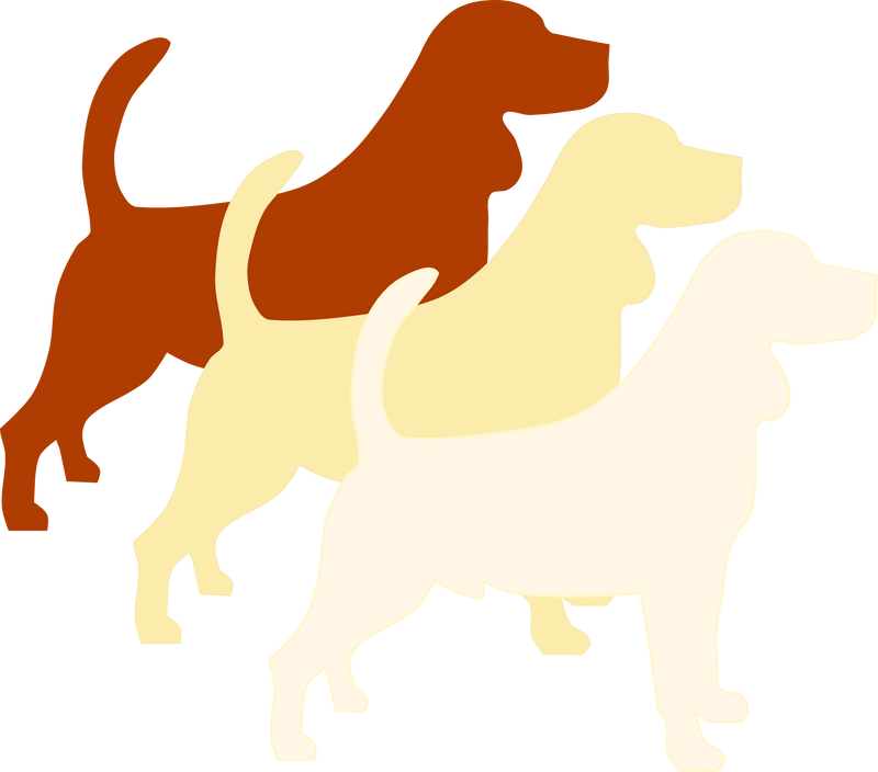I - Locus (intensity) - The Pet Genetics Lab