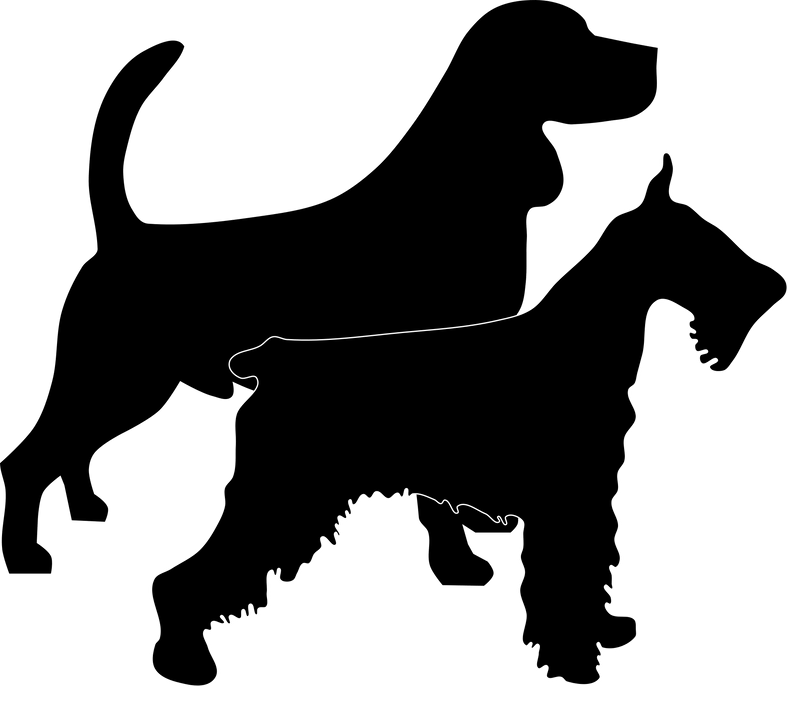 IC - Locus (improper coat/furnishings) - The Pet Genetics Lab
