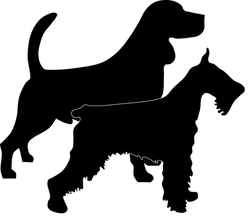 IC - Locus (improper coat/furnishings) - The Pet Genetics Lab