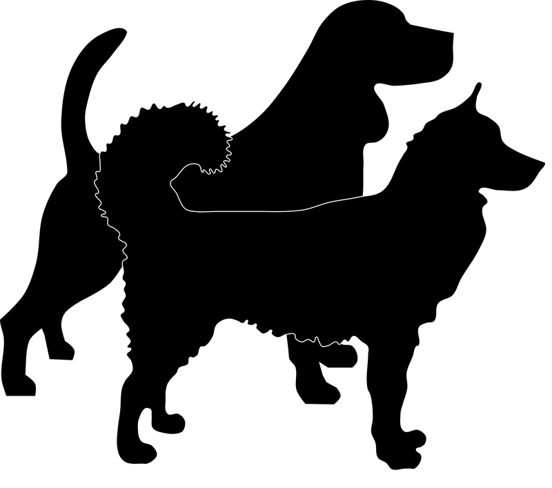 L - Locus (length) - The Pet Genetics Lab