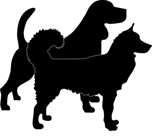L - Locus (length) - The Pet Genetics Lab
