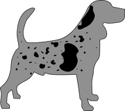 M - Locus (Merle) - The Pet Genetics Lab