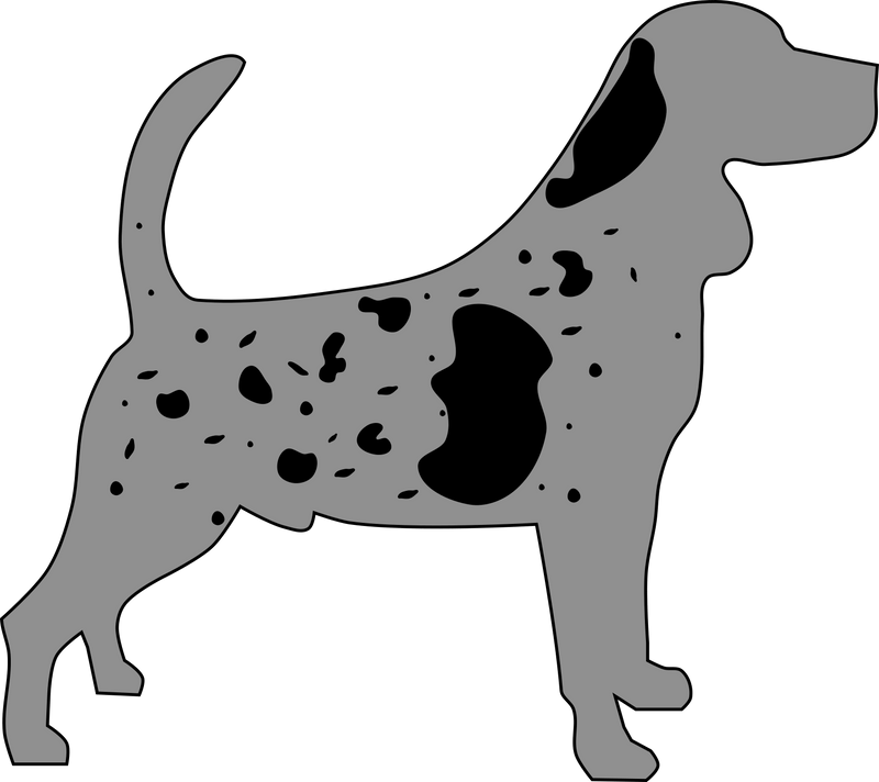 M - Locus (Merle) - The Pet Genetics Lab