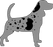 M-Locus (Merle)